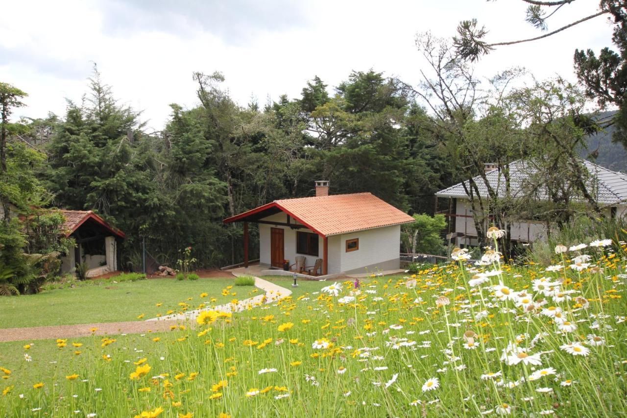 Pousada Aguia Da Montanha Monte Verde  Exterior photo