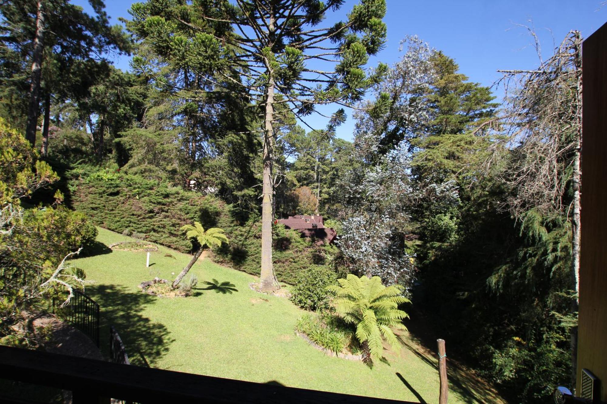 Pousada Aguia Da Montanha Monte Verde  Exterior photo